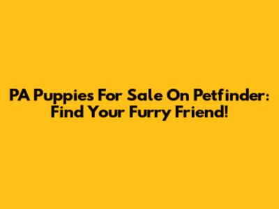 PA Puppies For Sale On Petfinder: Find Your Furry Friend!