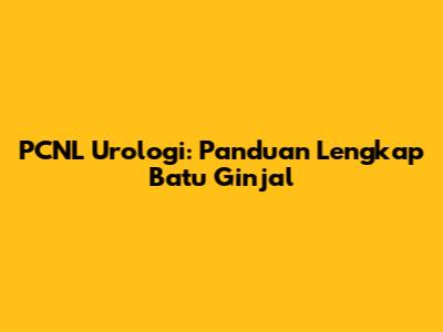 PCNL Urologi: Panduan Lengkap Batu Ginjal