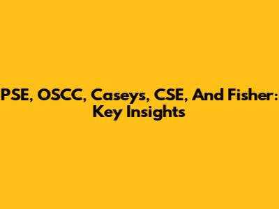 PSE, OSCC, Caseys, CSE, And Fisher: Key Insights