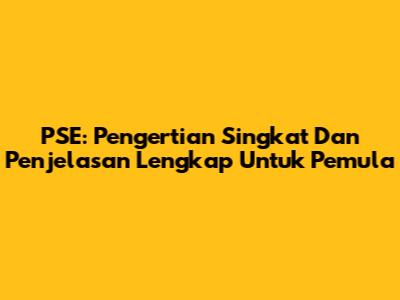 PSE: Pengertian Singkat Dan Penjelasan Lengkap Untuk Pemula
