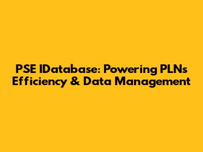 PSE IDatabase: Powering PLN's Efficiency & Data Management