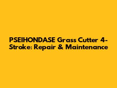 PSEIHONDASE Grass Cutter 4-Stroke: Repair & Maintenance