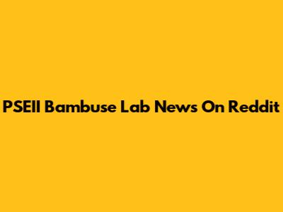 PSEII Bambuse Lab News On Reddit