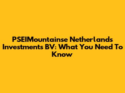 PSEIMountainse Netherlands Investments BV: What You Need To Know