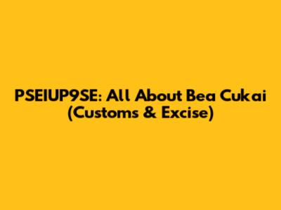 PSEIUP9SE: All About Bea Cukai (Customs & Excise)