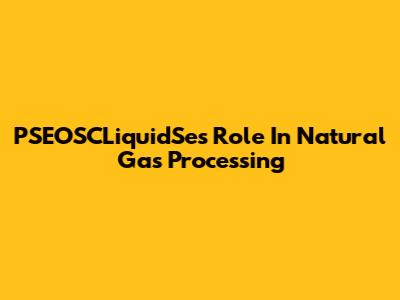 PSEOSCLiquidSe's Role In Natural Gas Processing