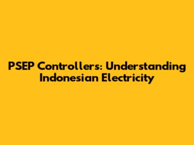 PSEP Controllers: Understanding Indonesian Electricity