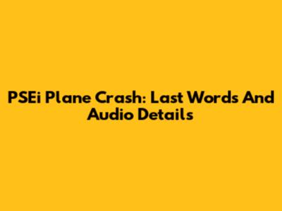 PSEi Plane Crash: Last Words And Audio Details