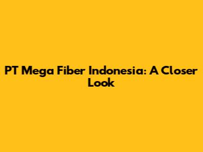 PT Mega Fiber Indonesia: A Closer Look