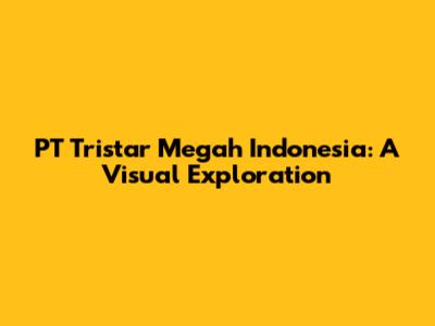 PT Tristar Megah Indonesia: A Visual Exploration