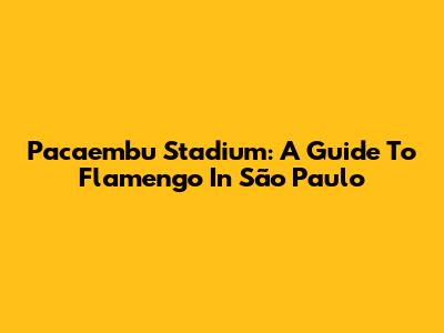 Pacaembu Stadium: A Guide To Flamengo In São Paulo
