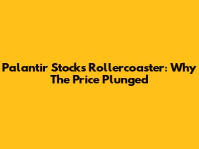 Palantir Stock's Rollercoaster: Why The Price Plunged