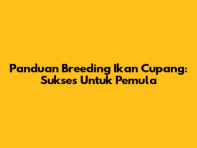Panduan Breeding Ikan Cupang: Sukses Untuk Pemula