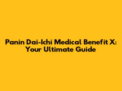 Panin Dai-Ichi Medical Benefit X: Your Ultimate Guide