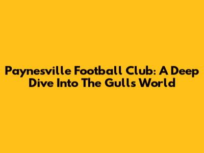 Paynesville Football Club: A Deep Dive Into The Gulls' World