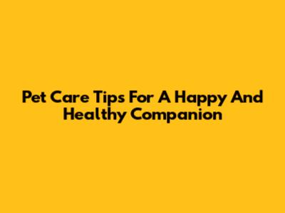 Pet Care Tips For A Happy And Healthy Companion