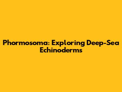 Phormosoma: Exploring Deep-Sea Echinoderms