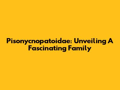 Pisonycnopatoidae: Unveiling A Fascinating Family