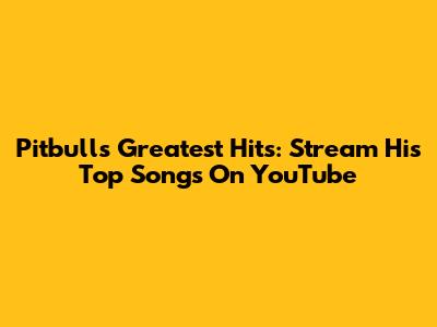 Pitbull's Greatest Hits: Stream His Top Songs On YouTube