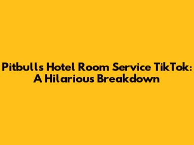 Pitbull's Hotel Room Service TikTok: A Hilarious Breakdown