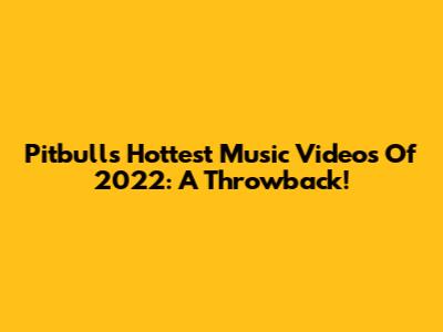 Pitbull's Hottest Music Videos Of 2022: A Throwback!