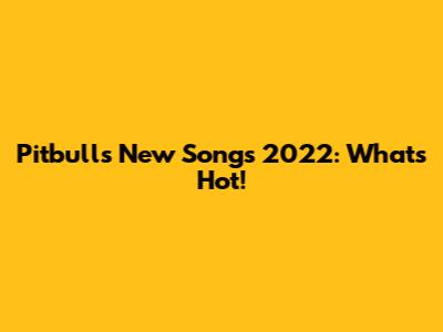 Pitbull's New Songs 2022: What's Hot!