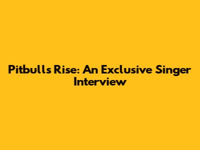 Pitbull's Rise: An Exclusive Singer Interview