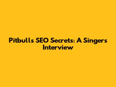 Pitbull's SEO Secrets: A Singer's Interview