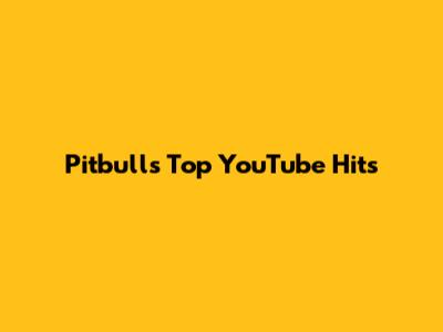 Pitbull's Top YouTube Hits