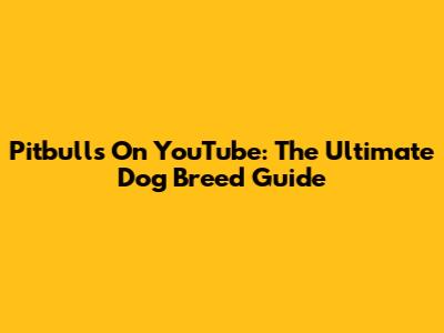 Pitbulls On YouTube: The Ultimate Dog Breed Guide