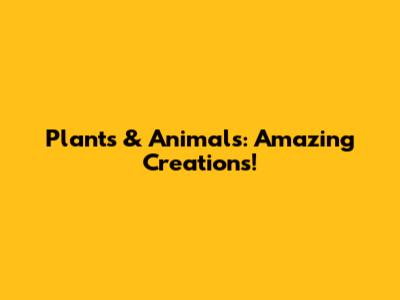 Plants & Animals: Amazing Creations!