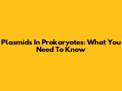 Plasmids In Prokaryotes: What You Need To Know