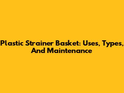 Plastic Strainer Basket: Uses, Types, And Maintenance