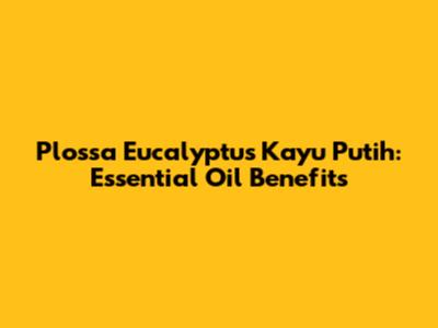 Plossa Eucalyptus Kayu Putih: Essential Oil Benefits