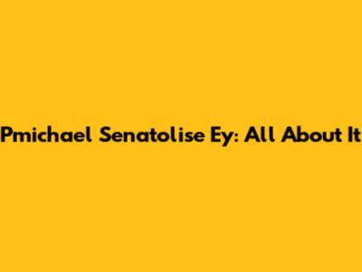 Pmichael Senatolise Ey: All About It