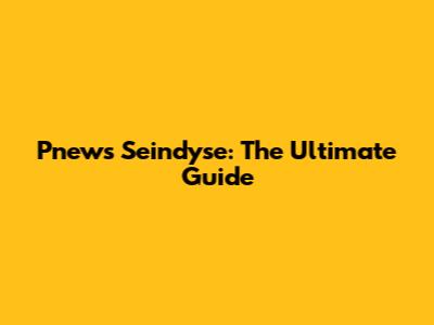 Pnews Seindyse: The Ultimate Guide