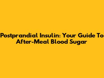 Postprandial Insulin: Your Guide To After-Meal Blood Sugar