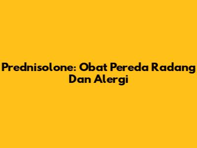 Prednisolone: Obat Pereda Radang Dan Alergi