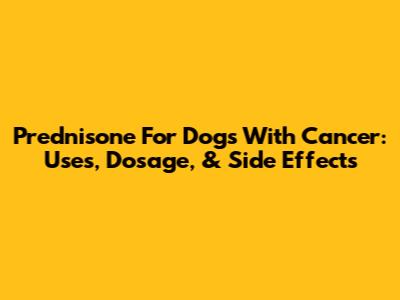 Prednisone For Dogs With Cancer: Uses, Dosage, & Side Effects