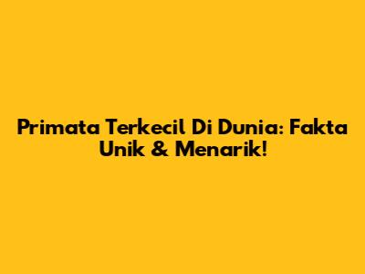 Primata Terkecil Di Dunia: Fakta Unik & Menarik!