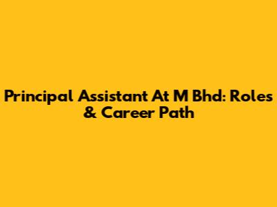 Principal Assistant At M Bhd: Roles & Career Path