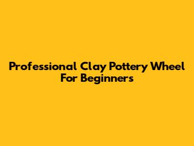 Professional Clay Pottery Wheel For Beginners