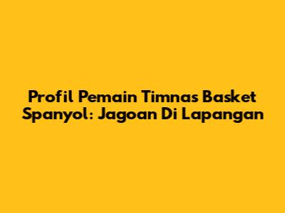 Profil Pemain Timnas Basket Spanyol: Jagoan Di Lapangan