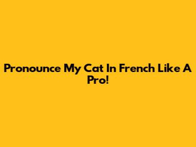 Pronounce 'My Cat' In French Like A Pro!