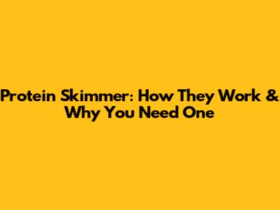 Protein Skimmer: How They Work & Why You Need One
