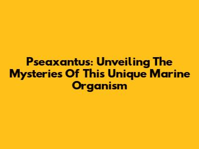 Pseaxantus: Unveiling The Mysteries Of This Unique Marine Organism