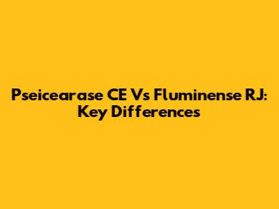 Pseicearase CE Vs Fluminense RJ: Key Differences