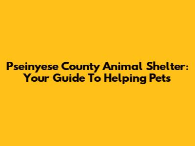 Pseinyese County Animal Shelter: Your Guide To Helping Pets