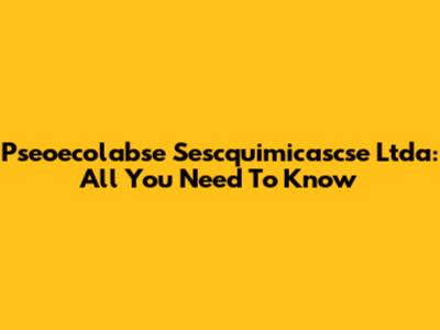 Pseoecolabse Sescquimicascse Ltda: All You Need To Know