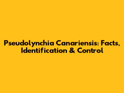 Pseudolynchia Canariensis: Facts, Identification & Control